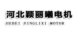 河北穎麗曦電機制造有限公司